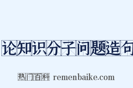 论知识分子问题造句是什么意思的图片